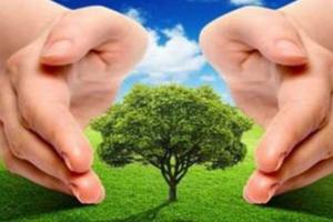 पर्यावरण संतुलन बनाए रखने में मेढकों की अहम भूमिका: आरपी सिंह