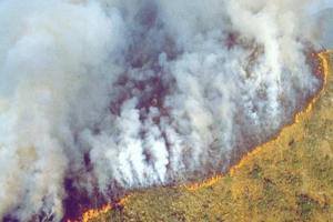 हल्द्वानी: जंगलों की आग का धुआं पर्यावरण के लिये खतरा