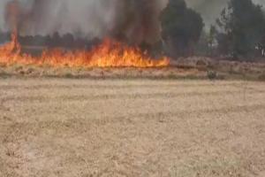 रायबरेली: खेत में अचानक लगी आग, पांच बीघा फसल जलकर हुई राख