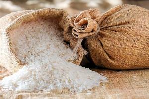 Sri Lanka Crisis:  भारत ने सिंहली नव वर्ष से पहले श्रीलंका को 11,000 टन चावल भेजा