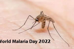 World Malaria Day 2022: आपके शरीर के इन हिस्सों को बुरी तरह डैमेज कर सकता है मलेरिया, जानें कैसे करें बचाव