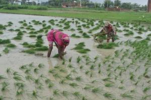 उत्तर प्रदेश में 1.71 लाख हेक्टेयर भूमि बनेगी खेती के काबिल, कृषि विभाग ने कार्यों का दिया ब्यौरा