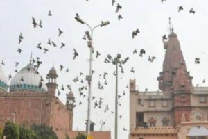 मथुराः श्रीकृष्ण जन्मस्थान के बाद शाही ईदगाह में बंद हुए लाउडस्पीकर, ईदगाह कमेटी ने कही यह बात