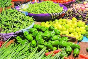प्रयागराज: आम जनता को लगा महंगाई का झटका, रुला रही सब्जियों की कीमत