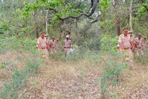 बहराइच: शिकारियों की आहट मिलते ही जंगल में शुरू हुई कांबिंग, वन विभाग के कैमरे में कैद हुई थी संदिग्ध लोगों की तस्वीर