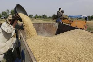 बरेली: केंद्रों तक नहीं पहुंचे तो किसानों के घर से गेहूं खरीद की तैयारी