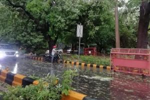 दिल्ली-एनसीआर में बदला मौसम का मिजाज, तेज आंधी के साथ हो रही बारिश, कई जगह टूटे पेड़