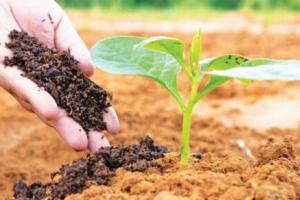 गरमपानी: जैविक कृषि को बढ़ावा देने को जीबी पंत कृषि विश्वविद्यालय के मास्टर ट्रेनरों ने दिए टिप्स