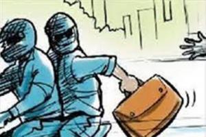 बाइक सवार उच्चकों ने डिलिवरी वैन से उड़ाया रुपयों से भरा बैग, जांच में जुटी पुलिस