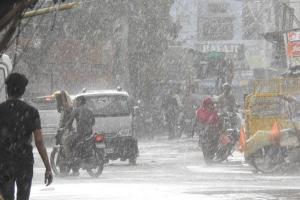 हल्द्वानी: बारिश ने गिराया 7 डिग्री पारा, गर्मी से मिली थोड़ी राहत