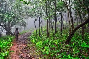 बरेली: पर्यावरण दिवस पर यूपीएससी परीक्षा में ड्यूटी करेंगे वन रेंजर