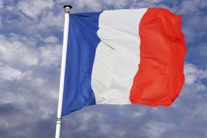 फ्रांस की ऊर्जा कंपनियों ने की लोगों से ईंधन व बिजली के इस्तेमाल में कटौती की अपील
