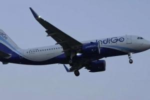 अमेरिकन एयरलाइंस, इंडिगो ने शुरू किया कोडशेयर समझौता
