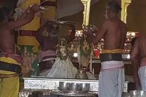 मथुरा: भगवान रंगनाथ को गर्मी से राहत देने के लिये किया गया यह खास इंतजाम