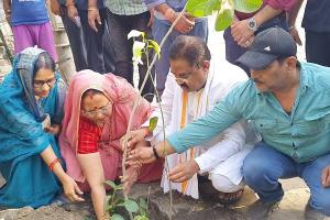 हरदोई: विश्व पर्यावरण दिवस के मौके पर जिला पंचायत अध्यक्ष प्रेमावती ने किया पौधरोपण