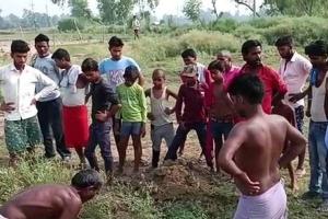 सीतापुर: सारस की मौत, बच्चों ने किया राजकीय पक्षी के शव का अंतिम संस्कार