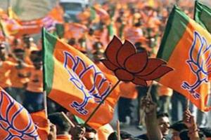 बुरहानपुर में बीजेपी ने जीता मेयर चुनाव, माधुरी पटेल ने 542 मतों से दर्ज की जीत