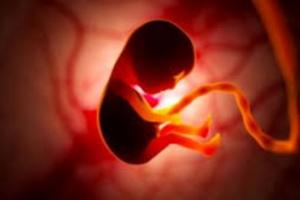 बरेली: मानवता हुई शर्मसार, रोड नंबर पांच पर फेंका भ्रूण, जमकर हंगामा