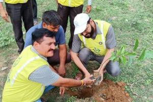 बरेली: सिविल डिफेंस बारादरी डिवीजन ने किया पौधरोपण