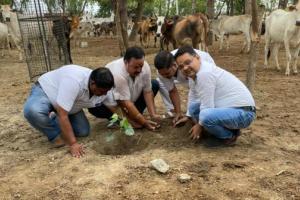 बरेली: राष्ट्र जागरण उद्योग व्यापार मंडल ने किया गोशाला में पौधराेपण