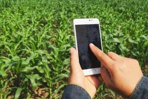 बरेली: किसानों की सुगमता के लिए तैयार किए 16 एप