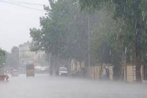 Heavy Rain in Chhattisgarh: बस्तर अंचल में मूसलाधार बारिश से कई जिलों में बाढ़ जैसे हालत, कई गांव टापू में तब्दील