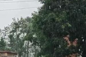 गोरखपुर : बारिश से सुहाना हुआ मौसम, किसानों को होगा फायदा