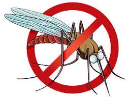 हल्द्वानी: डेंगू-मलेरिया से बचने के लिए खुद करनी होगी पहल- जिलाधिकारी
