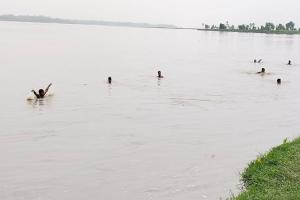 अमरोहा : गंगा नदी में डूबी महिला का 24 घंटे के बाद भी नहीं लगा सुराग