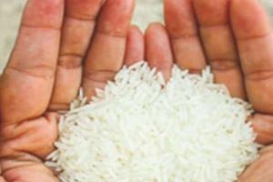 अयोध्या: एमडीएम में अब बच्चे खाएंगे फोर्टिफाइड चावल, विद्यार्थियों की सेहत को ध्यान में रखते हुए लिया गया फैसला