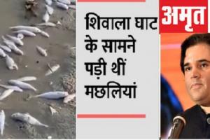 वाराणसी : वरुण गांधी ने गंगा में मरी मछलियों पर जताई चिंता, मांगा जवाब
