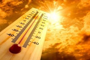 भीषण गर्मी और लू की चपेट में कैलीफोर्निया, तापमान के कारण बीमारी पनपने का अधिक जोखिम