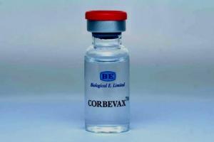 Corbevax Vaccine: अब ये लोग लगवा सकते हैं कॉर्बेवैक्स बूस्टर डोज, सरकार ने दी मंजूरी