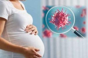 हल्द्वानी: गर्भवती महिलाओं पर कोरोना का कहर