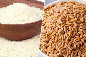बरेली: गेहूं और चावल अब मुफ्त नहीं, चुकानी होगी कीमत, आदेश जारी
