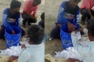 बरेली: कच्ची शराब का वीडियो वायरल होने पर हरकत में आई पुलिस, दबिश से पहले ही फरार हुए आरोपी