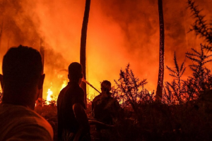 चीन में भीषण गर्मी से झाड़ियों में लगी आग, काबू पाने में लगे पांच हजार असैन्य और सैन्य कर्मी