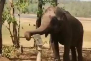 Viral Video: जल से खिलवाड़ करने वालों को हाथी ने दी बड़ी सीख, हैंडपंप चलाकर पिया पानी, देखिए वीडियो