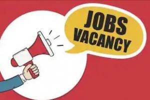 ​​Government Jobs 2022: फील्ड ऑफिसर के पद पर निकली वैकेंसी, ग्रेजुएट पास ऐसे करें आवेदन