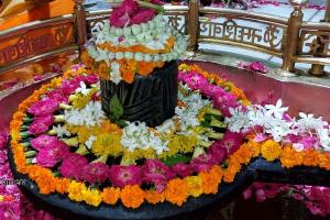 बाराबंकी: कल मनाई जायेगी कजरी तीज, महादेवा में जलाभिषेक को लगी कतार