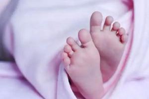 अमरोहा : नवजात शिशु का शव नाले में मिलने से सनसनी