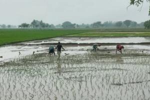 अयोध्या: बरसात की आस लगाए किसान देख रहे आसमान, नहीं हो रही झमाझम बारिश