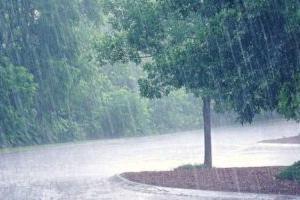 हल्द्वानी: बारिश से हुआ जनजीवन अस्त-व्यस्त, नदी-नाले उफान पर…