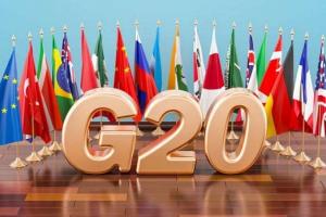 ऋण, खाद्य एवं ऊर्जा सुरक्षा के गंभीर मुद्दों के हल के लिए जी-20 देशों के साथ काम करेगा भारत