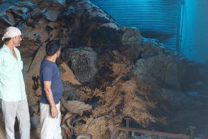 रामपुर: बिलासपुर में एग्रो सीड्स प्लांट में लगी आग, लाखों का नुकसान, दमकल ने पाया काबू