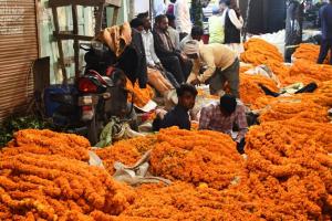 बरेली: फूलों पर महंगाई, गेंदा 200 तो गुलाब 400 रुपये किलो तक बिका