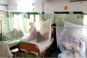 बरेली: डेंगू-मलेरिया से निपटने को स्वास्थ विभाग तैयार, बनाया गया अलग वार्ड