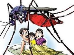 देहरादून: ठंड बड़ी पर कम नहीं हो रहा डेंगू के डंक का असर