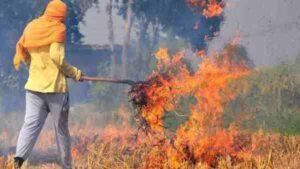 रुद्रपुर: खेतों में पुआल और पराली जलाने पर डीएम ने लगाया प्रतिबंध