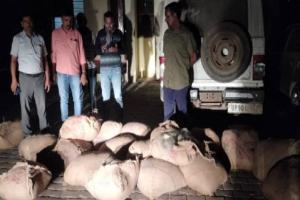 हमीरपुर: पुलिस ने दो बोलेरो से बरामद किया 12 क्विंटल मिलावटी खोवा